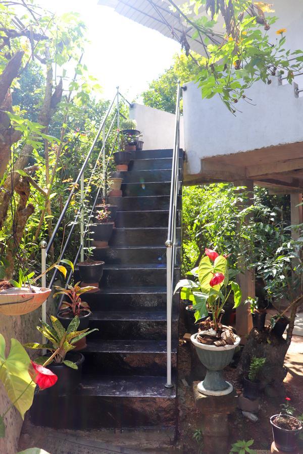 Nature Home Mirissa Exterior foto